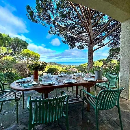 Petit Comfortable 3* Sainte-Maxime